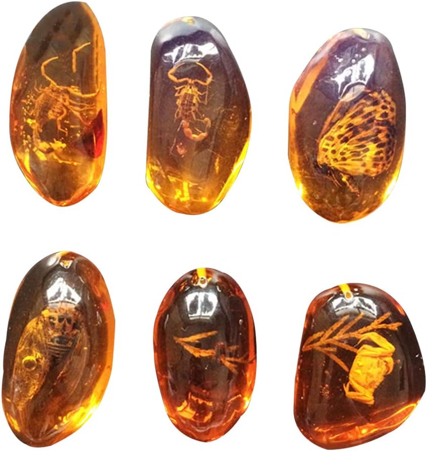 VORCOOL 5pcs Amber with Insects Samples Stones Crystal Specimens Home Decorations Collection Oval Pendant (Random Pattern)