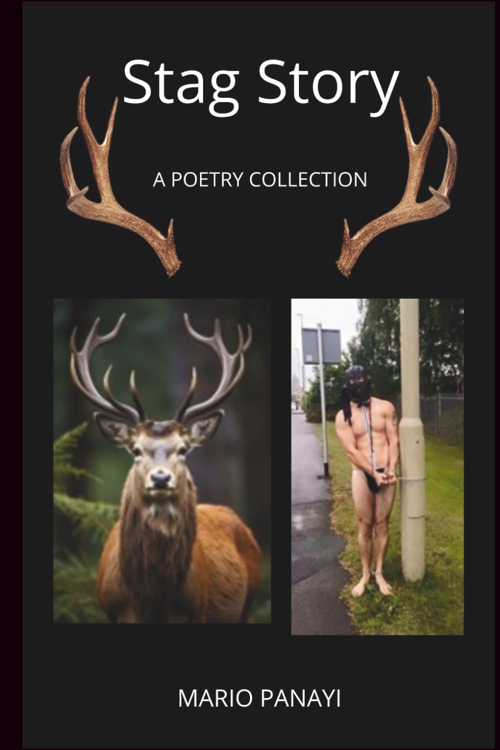 Stag Story: A Poetry Collection