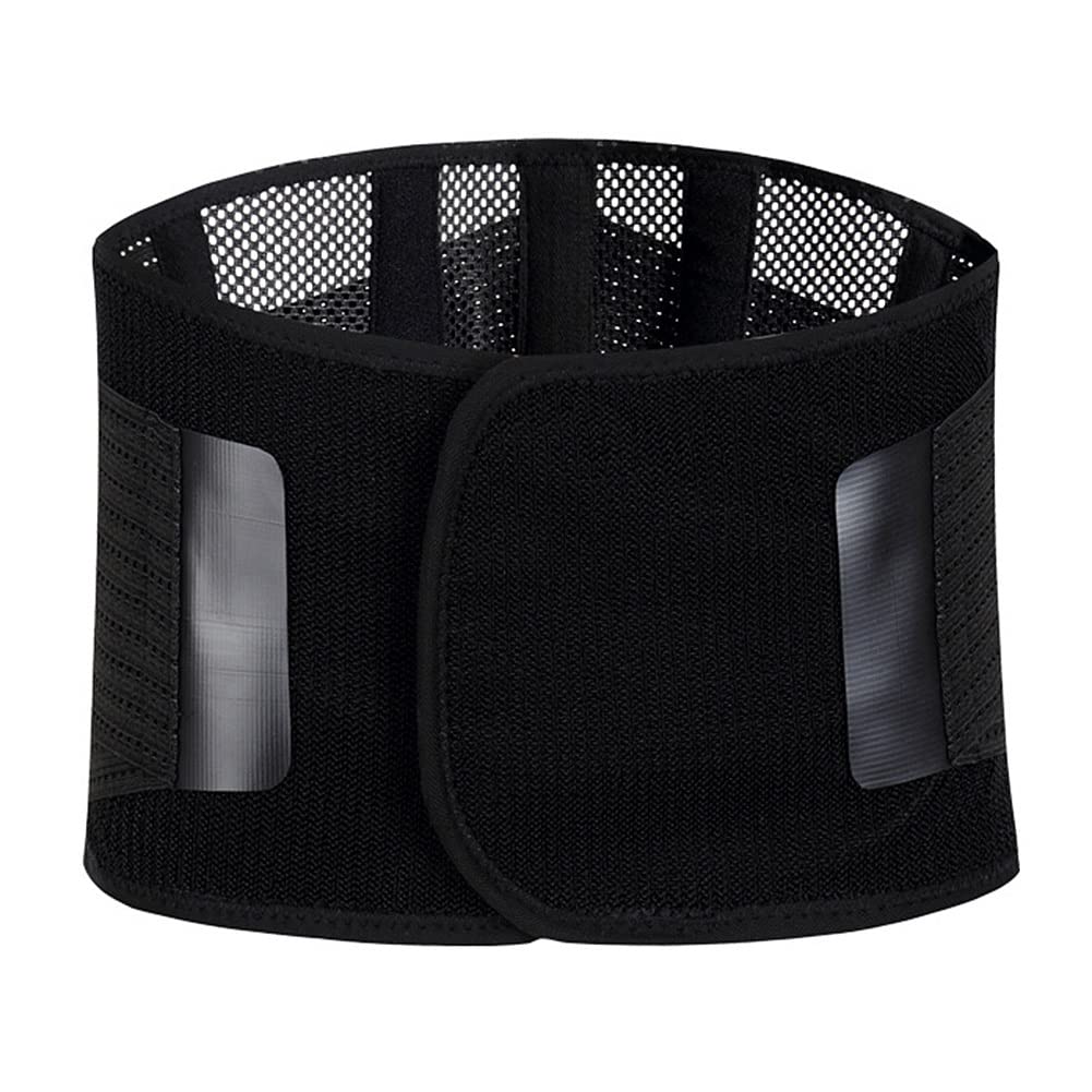 Lumbar para La Espalda Soporte Lumbar para Aliviar El Dolor Y Lesiones Cinturon Lumbar Prevenir Daños Faja Lumbar para La Espalda para Hombres Mujer (Size : L/Large)