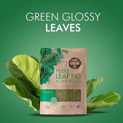 Miniatura 4 de Alimento para plantas de higuera de hoja de violín pellets de fertilizante de liberación lenta para higos en maceta nutrientes constantes para