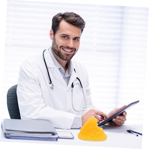 Miniatura 4 de TOYANDONA 1pc Modelo para Educación Auténtico Modelo de Grasa Humana Herramienta de Demostración Realista para Fitness y Anatomía Aprendizaje TPE