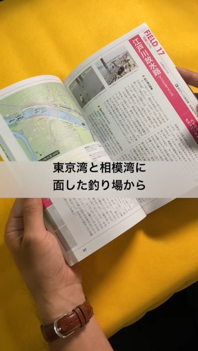 東京湾～相模湾 電車で行ける釣り場ガイド40 アジ、イワシ