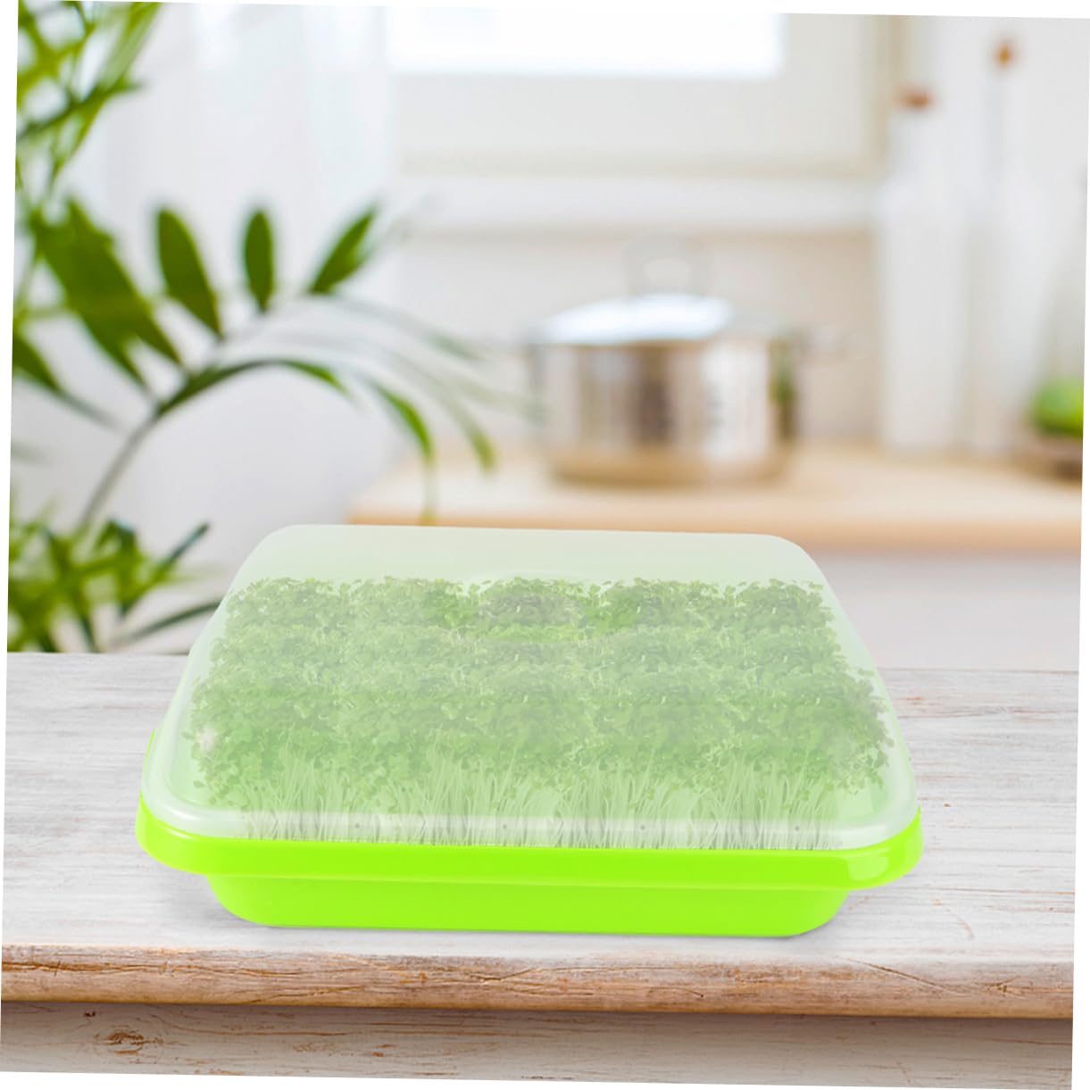 2 Juegos de Bandejas para Germinadores Tapa, Plástico Verde sin Tierra, Cultivo Rápido de Brotes Saludables en Casa Estilo Aleatorio