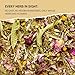 Stress-Relief Herbal Tea Blend with Calming Chamomile, Lavender, Rose, Lemon Verbena, Agrimony, Catnip, Damiana, Holy Basil, Hawthorn Berry, and Skullcap for Relaxation (Herbal Tea)