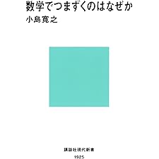 数学でつまずくのはなぜか (講談社現代新書)の表紙