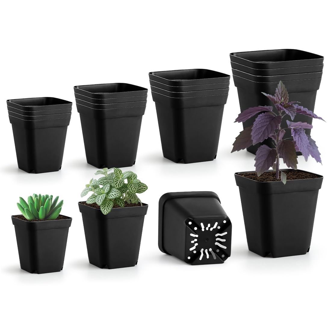 Amazon.co.jp: 育苗ポット 深型 7cm/8cm/9cm/10cm 4サイズ×5個セット