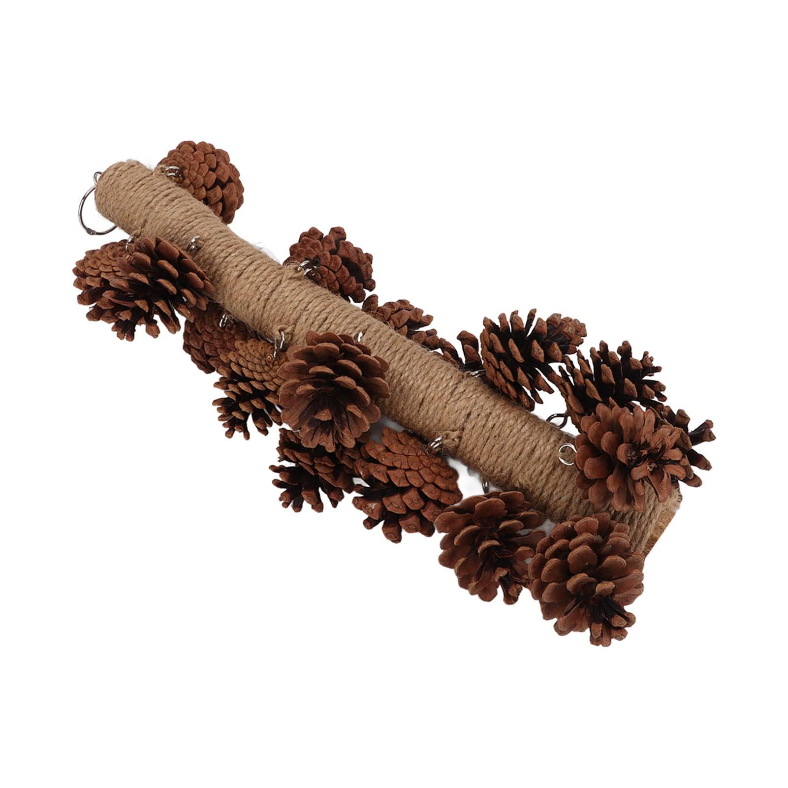 Uccelli Morso Giocattolo Pappagalli Uccelli Morso Giocattolo di Legno Pigna Appeso Pappagalli Giocattolo da masticare Pappagalli Becco Macinazione Giocattolo Pappagalli Giocattolo Molare Uccello Pigna