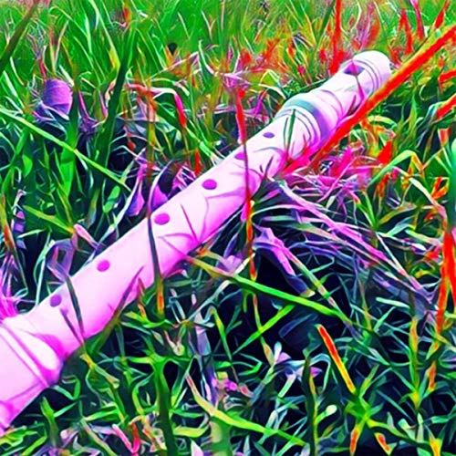 Top 20 Best poop ever Reviews 2023 Maine Innkeepers Association