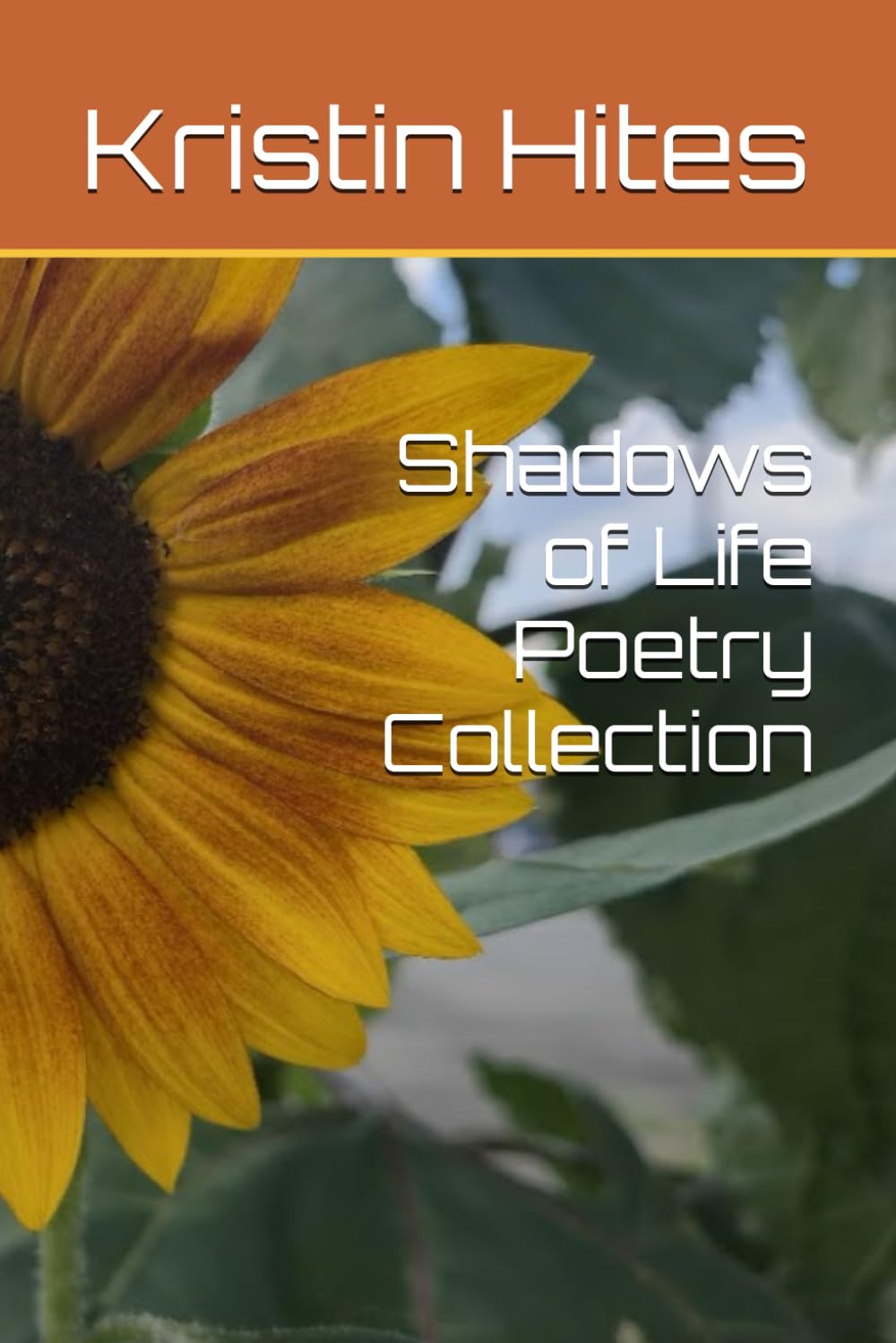 Shadows of Life Poetry Collection