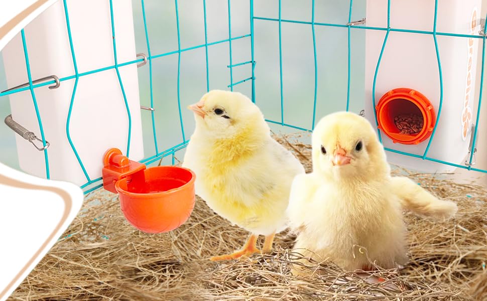 Automatic Waterer System Chick Feeder and Drinker Cups 1L Hanging Automatic Fill Poultry Watering Cup Used for Cages (Orange, 2)