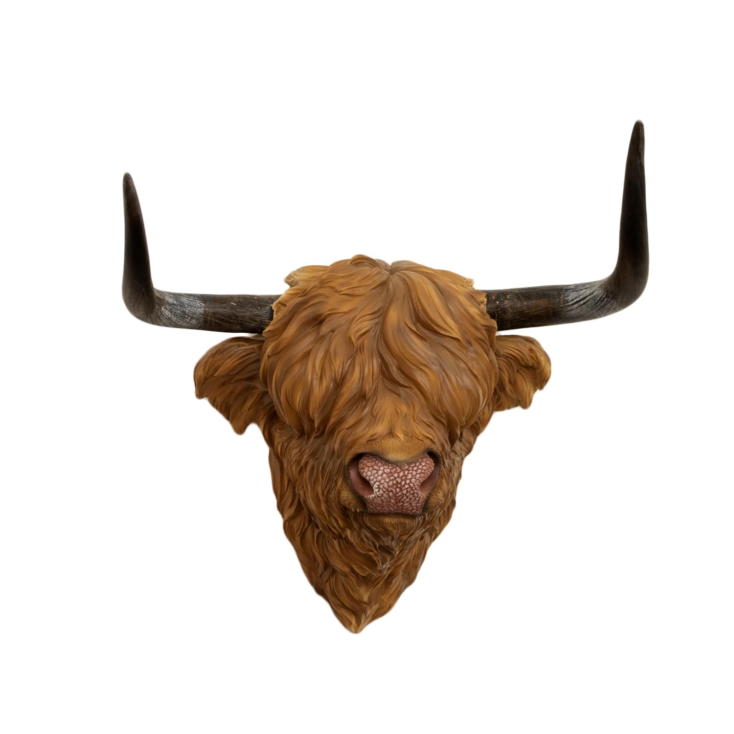 Darthome Brown, Black Resin Highland Cow Head Wall Decor, Brown Coo With Black Horns, 35Cm X 36Cm X 21Cm, Indoor Wall Mounted Animal Bust