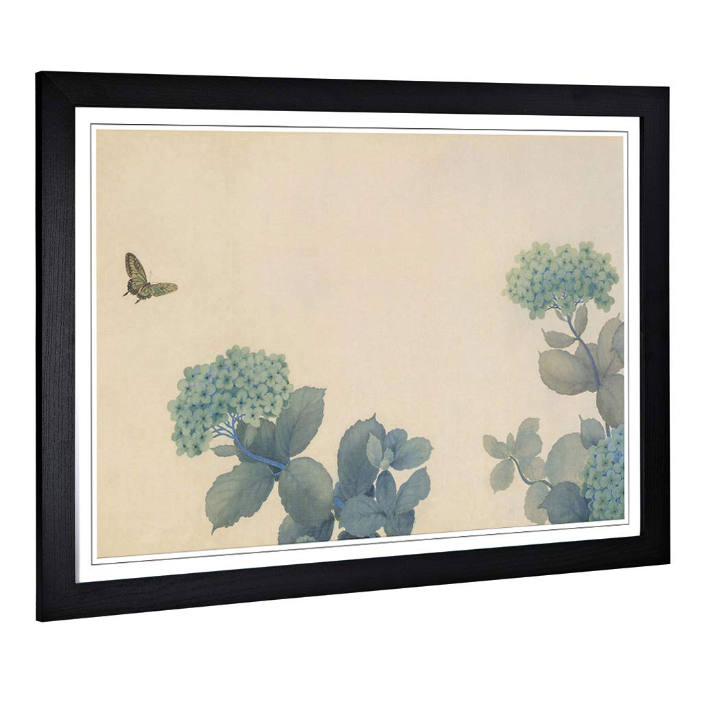 Big Box Art Framed Print of Hishida Shunso Hydrangeas Butterfly Oriental Design | Wall Art Picture | Home Decor for Kitchen, Living Room, Bedroom, Hallway, Black, A2 / 24.5x18 Inch / 62x45cm