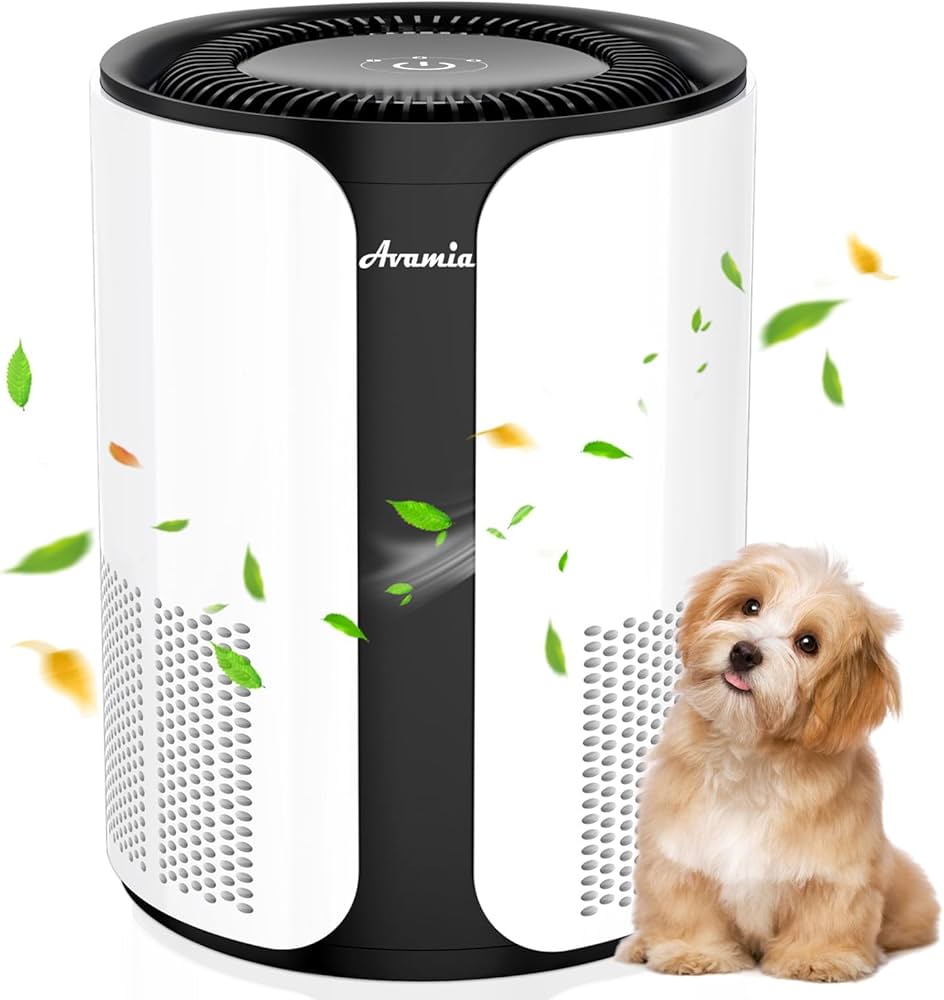 Air Purifiers for Small Rooms Vs Large Rooms: Ultimate Guide
