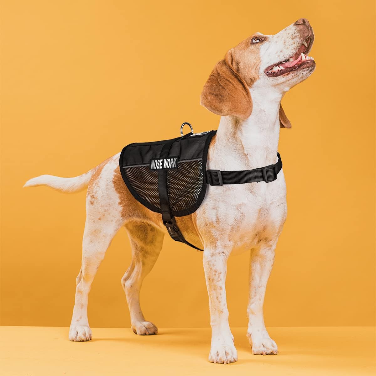 Dogline 22"-29" MaxAire Mesh Vest for Dogs and 2 Removable Nose Work Patches, Large, Black