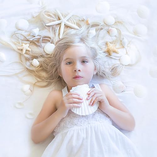 Miniatura 3 de 16 conchas de vieira natural, conchas de vieira blancas de 4 a 5 pulgadas, conchas marinas grandes para manualidades, decoración de boda, fiesta