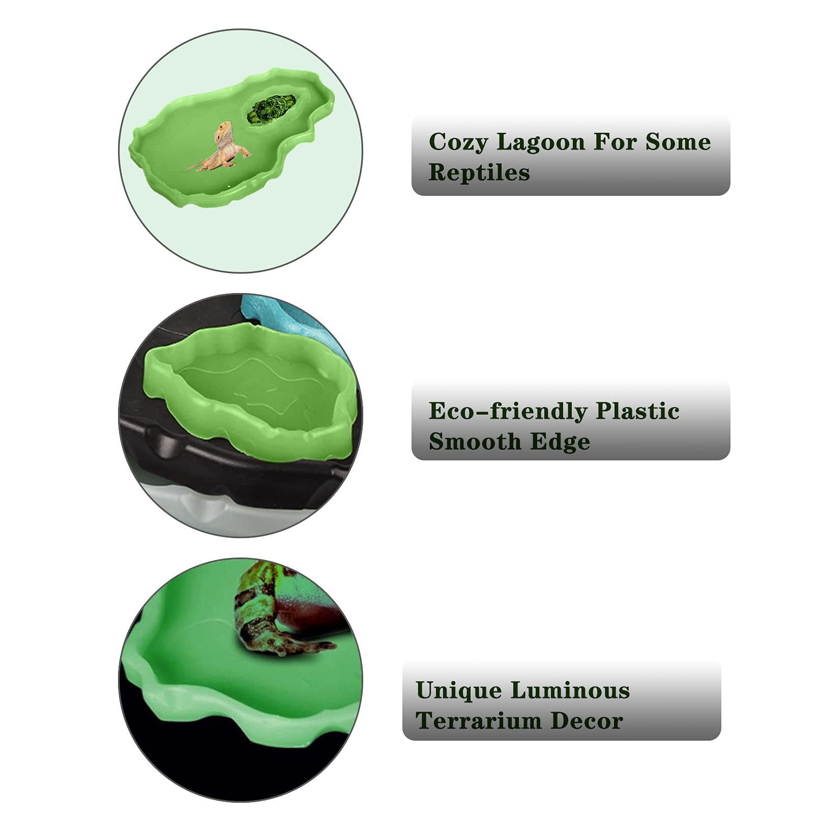 Alimentador de tortugas para alimentos y agua, para reptiles, platos grandes y pequeños de plástico, para un conjunto para lagarto, camaleón, Iguana, serpiente Gecko 2 unidades