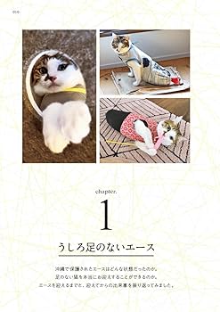 618m6JnPpML._AC_UF350,