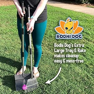 Bodhi Dog Metal Heavy Duty Dog Pooper Scooper for Large  Small Dogs  Stainless Steel Long Handle Dog Poop Scoop Metal Tray  Rake Set  Chicken Pooper Scooper  Great for Grass Street Gravel  Cucciolini Doodles Bodhi dog metal heavy duty dog pooper scooper for large  small dogs  stainless steel long handle dog poop scoop metal tray  rake set  chicken pooper scooper  great for grass street gravel   cucciolini doodles