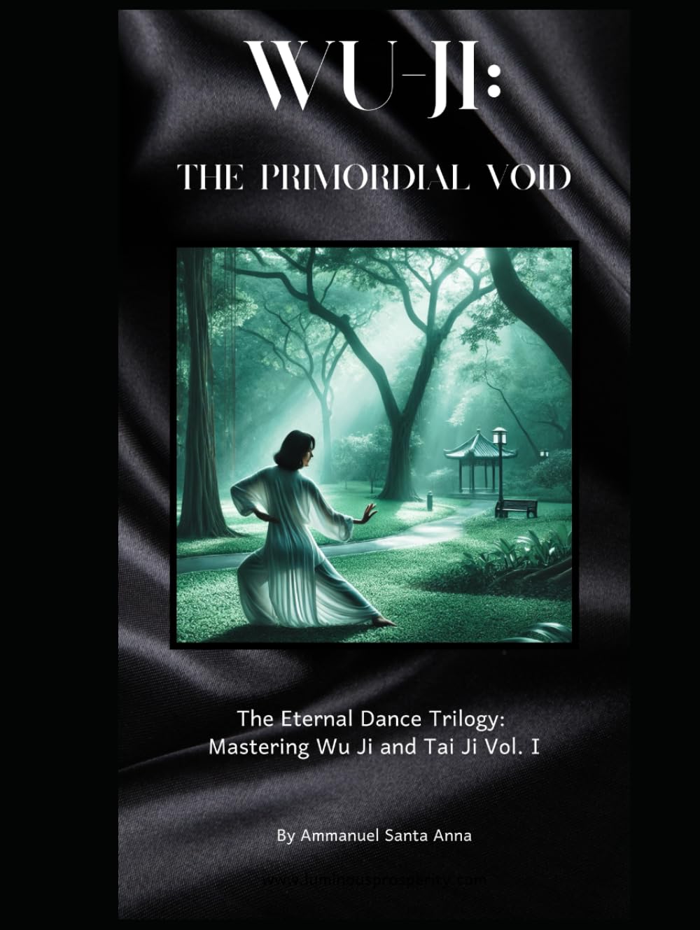 Wu Ji: The Primordial Void: The Eternal Dance Trilogy: Mastering Wu Ji and Tai Ji Vol. I