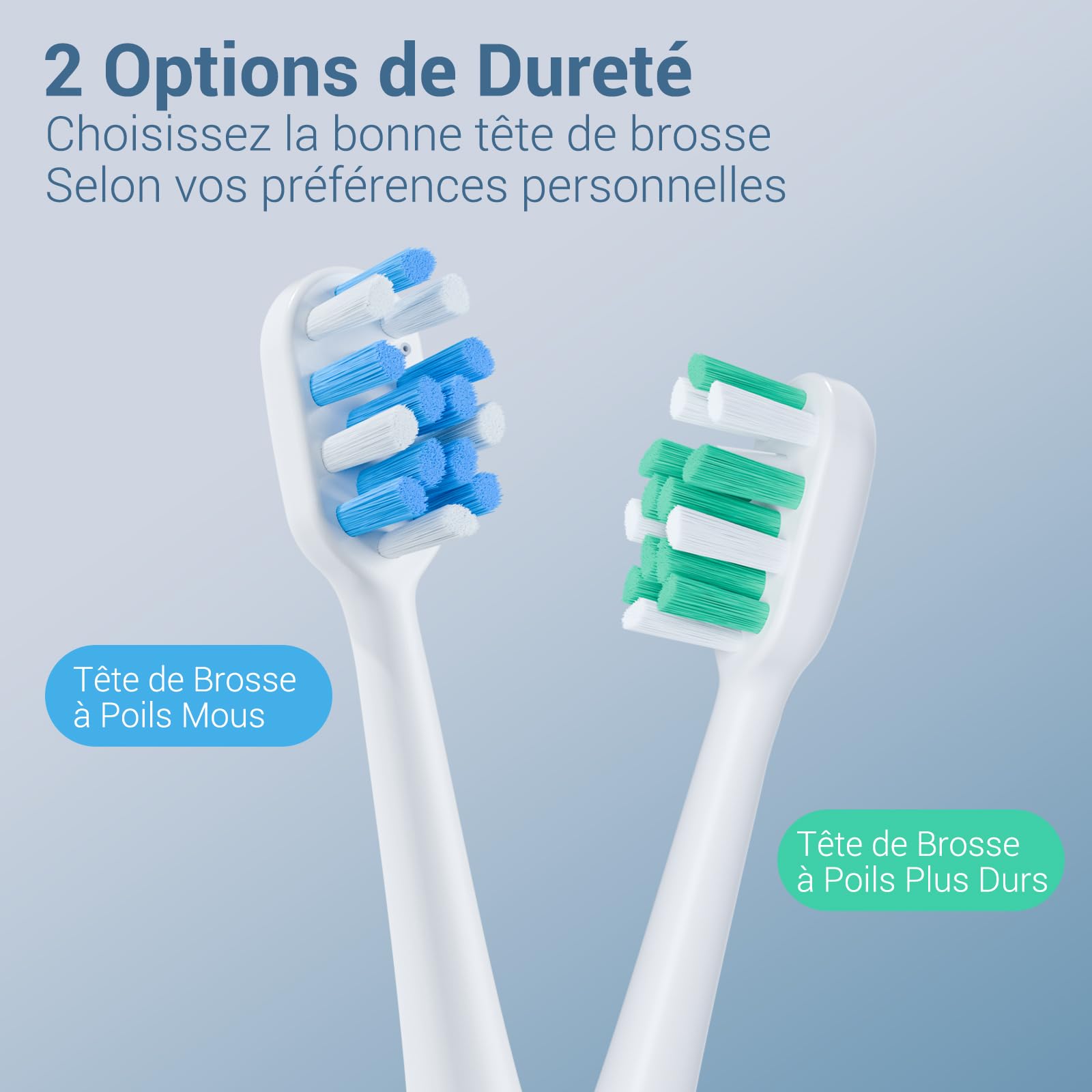 Marchpower Brosse à Dent Electrique Sonique avec Jet Dentaire Portable 2 en 1 - Kit Voyage Hydropulseurs et Irrigateurs pour Adultes - 3+4 Modes de Nettoyage - 4 Têtes de Rechange - IPX7 Etanche