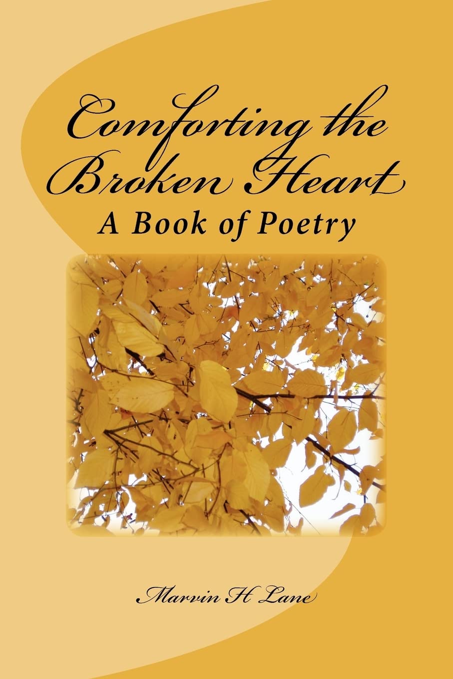 Comforting the Broken Heart: A Book of Poetry