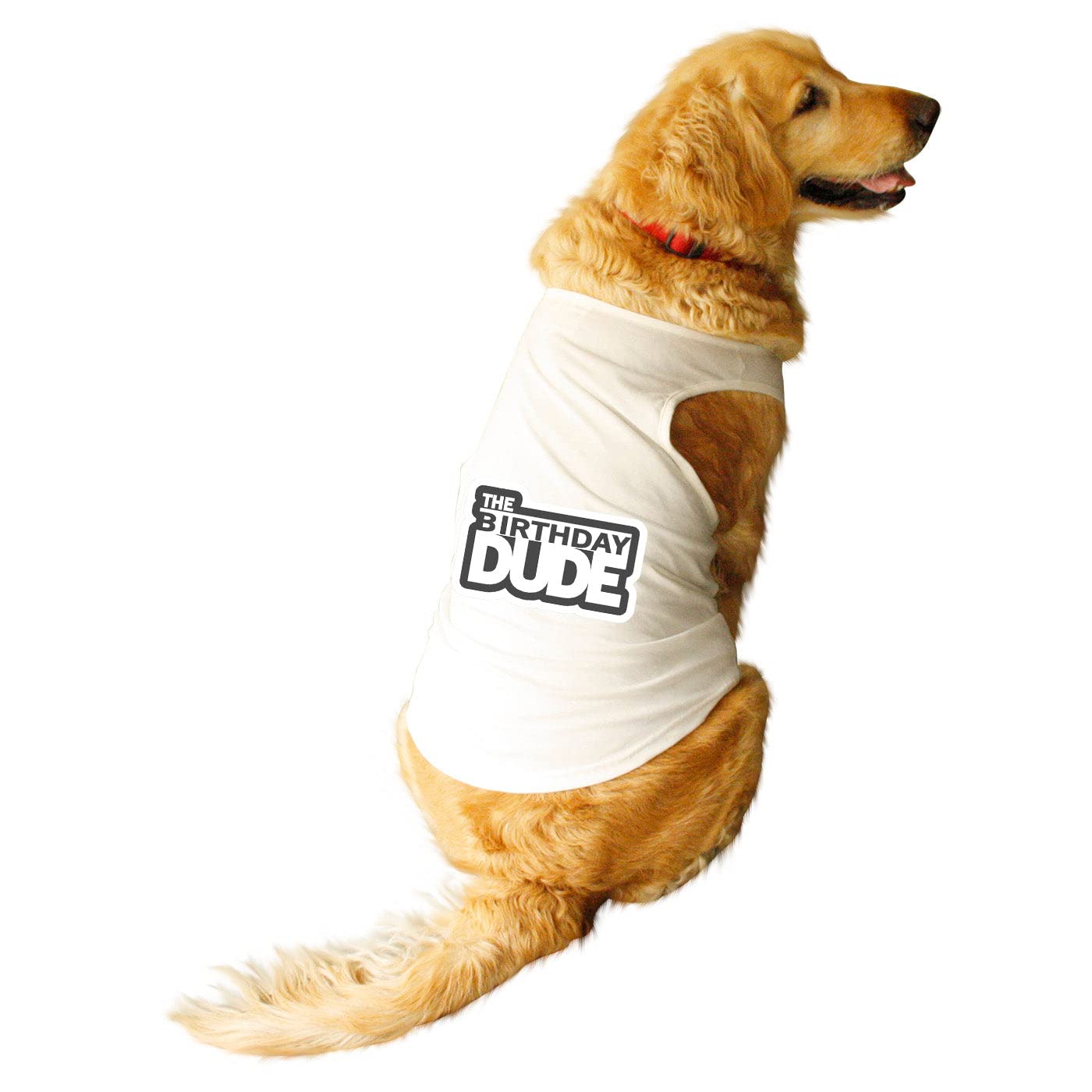 Ruse Pet The Birthday Dude Printed Dog Round Neck Sleeveless Vest Tank T-Shirt/Tees Apparel/Clothes/Tees Gift for DogsWhiteL (Desi/Stray, Doberman etc.) (B0BW66RXNM) Amazon Price History, Amazon Price Tracker