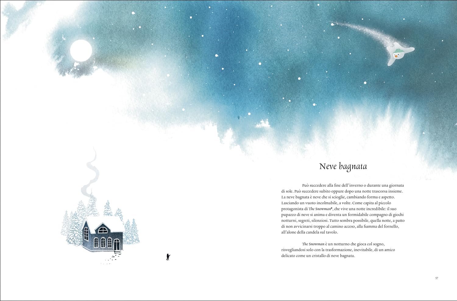 Nevario. Le forme della neve. Ediz. a colori