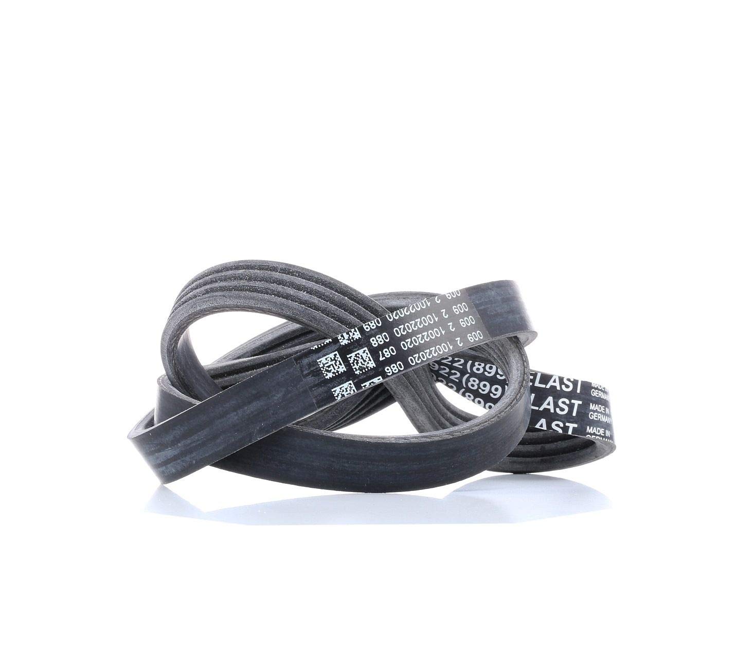 Multi-ribbed V-belt 4PK922 ELAST CONTINENTAL CTAM for PEUGEOT FORD CITROËN FIAT