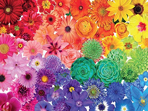 Ceaco 2939-2 Colorstory Flower Power Puzzle - 750Piece