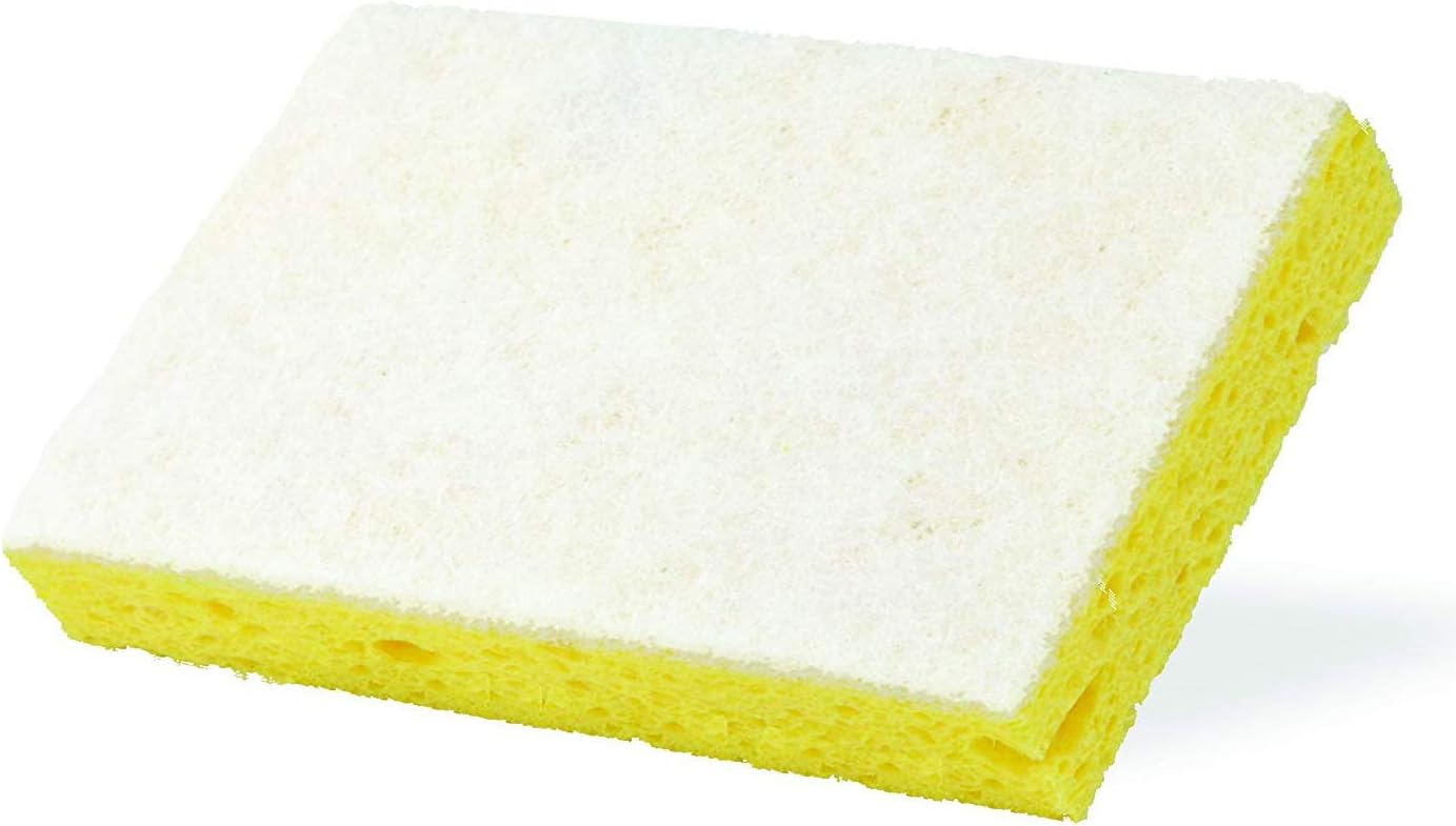 Granite Gold Scrub Sponge (Pack of 1)