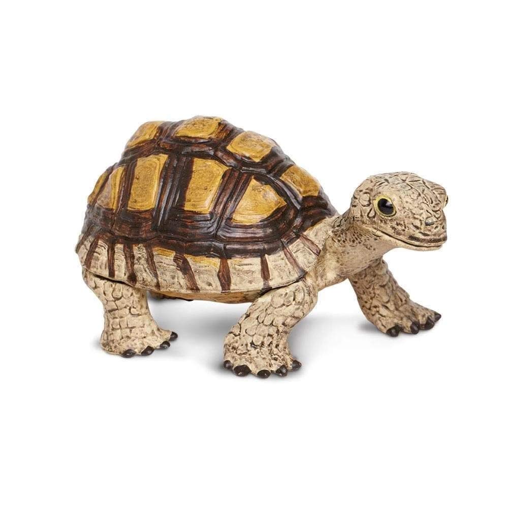 カメ Amazon | Safari (サファリ) リクガメ カメ フィギュア XL