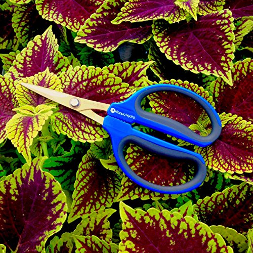 Happy Hydro - Trimming Scissors - Straight Tip - 40mm Titanium Blades - Ergonomic Comfort Grip Handles - 2 Pack - Thumbnail 5