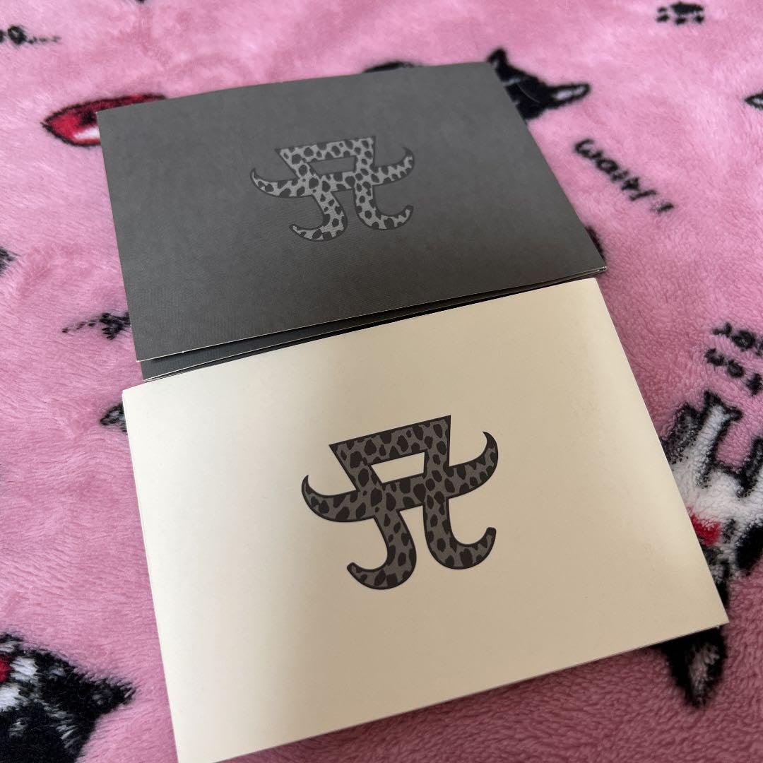 浜崎あゆみ 2000-2001カウントダウンコンサートグッズ 【公式通販】