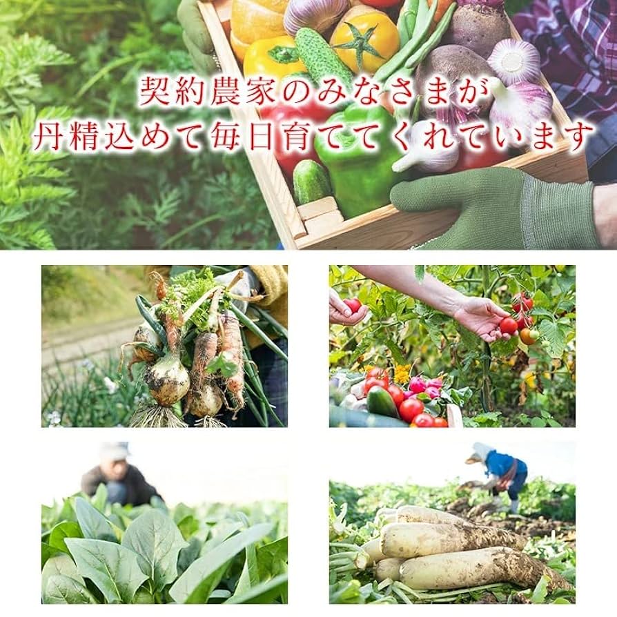 りんご出品！他の方はご遠慮ください。 51NSSKGd2yL._UF894,1000_QL80_.jpg
