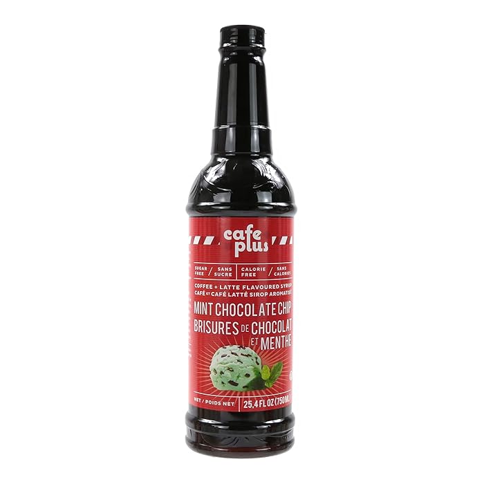 Buy Mint Chocolate Chip Flavour Sugar Free Syrup for Coffee and Hot
