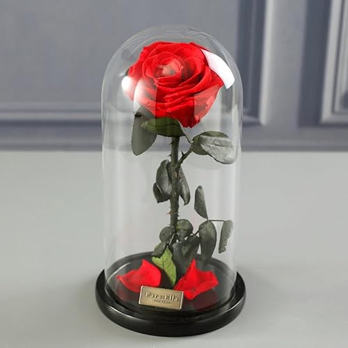 Miniatura 5 de Gigante Immortal Flor, cubierta de vidrio Caja Rosas Flores de el principito Eternal Decoración Día de Navidad