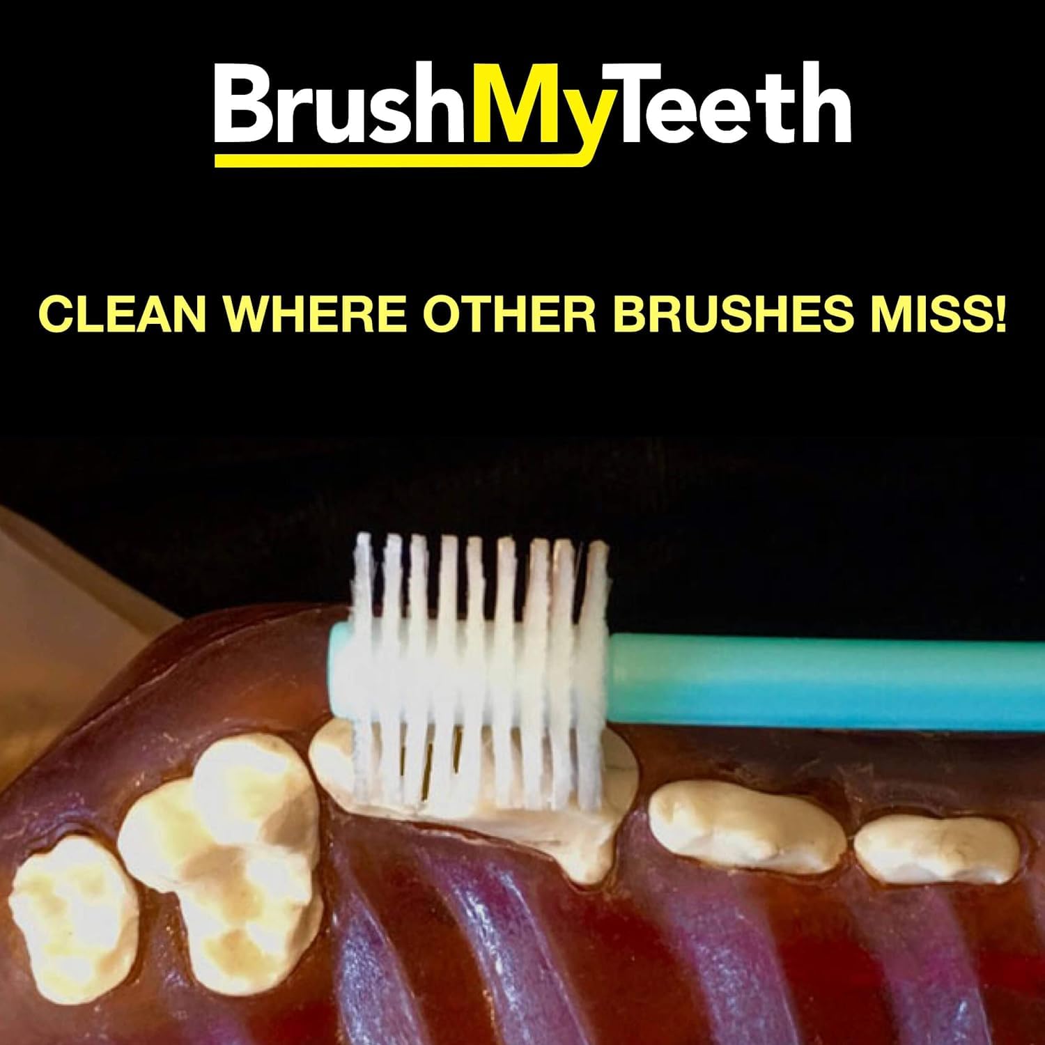 Brush My Dientes Cepillo de Dientes Redondo para Perros