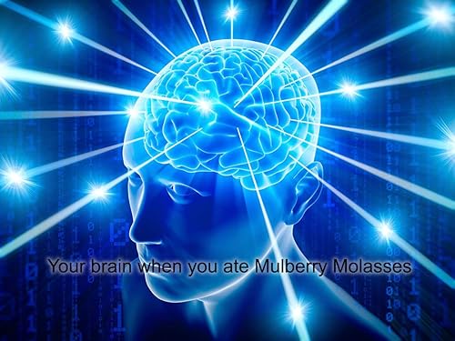 Miniatura 3 de Resina Shilajet de ácido fúlvico del Himalaya, 0.35 oz (100 porciones), auténtico momio de la región del Himalaya/fuente natural de minerales