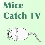 Mice Catch TV