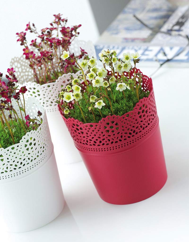 2 Vaso Da Fiori In Plastica Color Verde Salvia Coubi Round P 13,5 X 13 - Foto 7