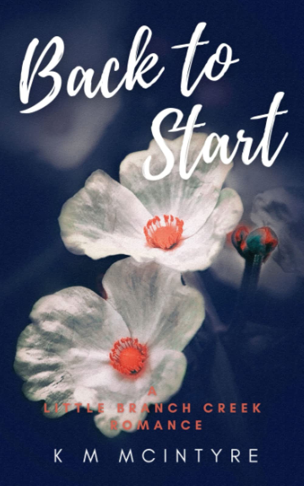 Back to Start: A Little Branch Creek Romance