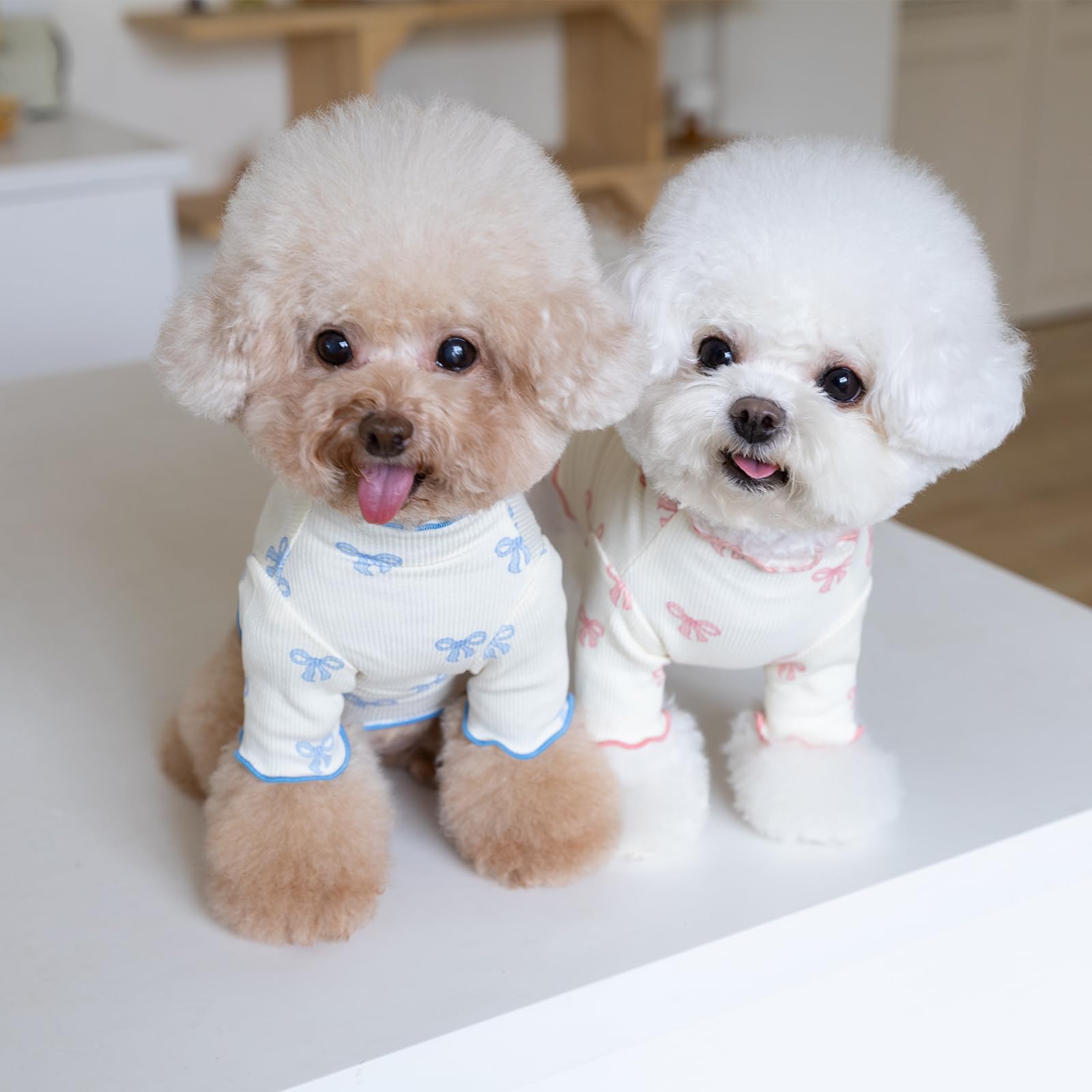 Vestito Cane Piccola Taglia Yoolhamy - T-shirt Estiva Con Fiocco Per Chihuahua, Yorkshire, Shih Tzu - Taglie XXS-M - Foto 2