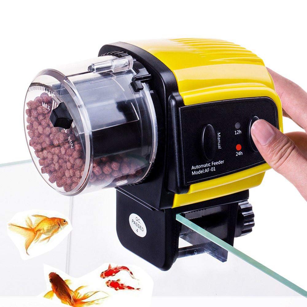 turtle feeder vacation