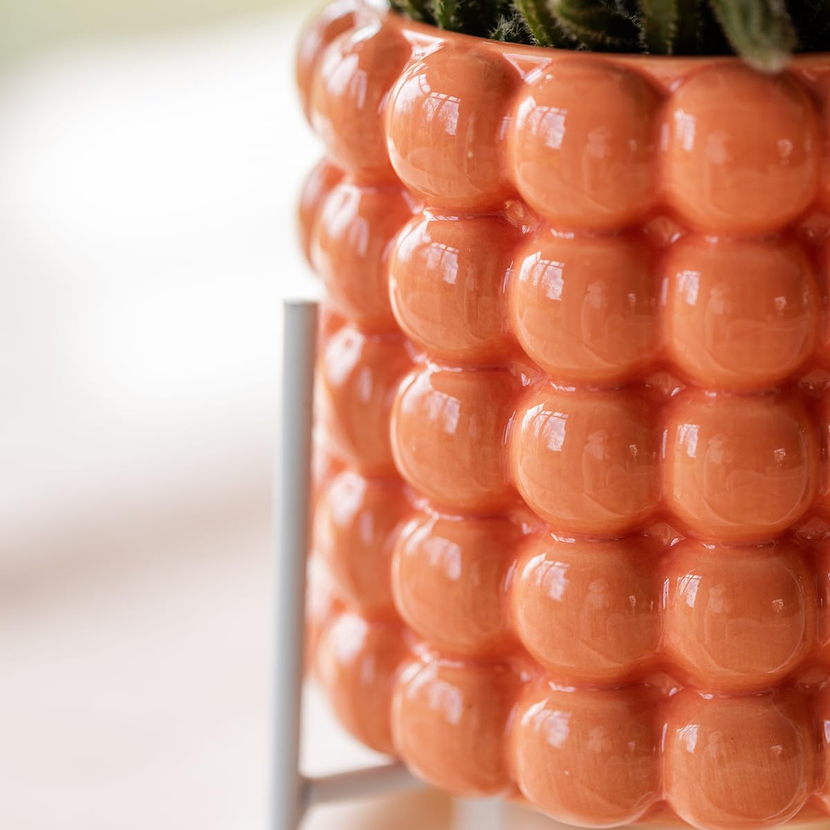 Set de Plantas con Orquídea, Decoración, Naranja, Macetas de Ø9 y Ø6 cm