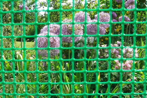 Goplast 30m² MASCHENGEWEBE 0,6m x 50m Kunststoffzaun Gartenzaun Geflügelzaun Gartenzaun Zaun Rankhilfe Grün – Bild 5