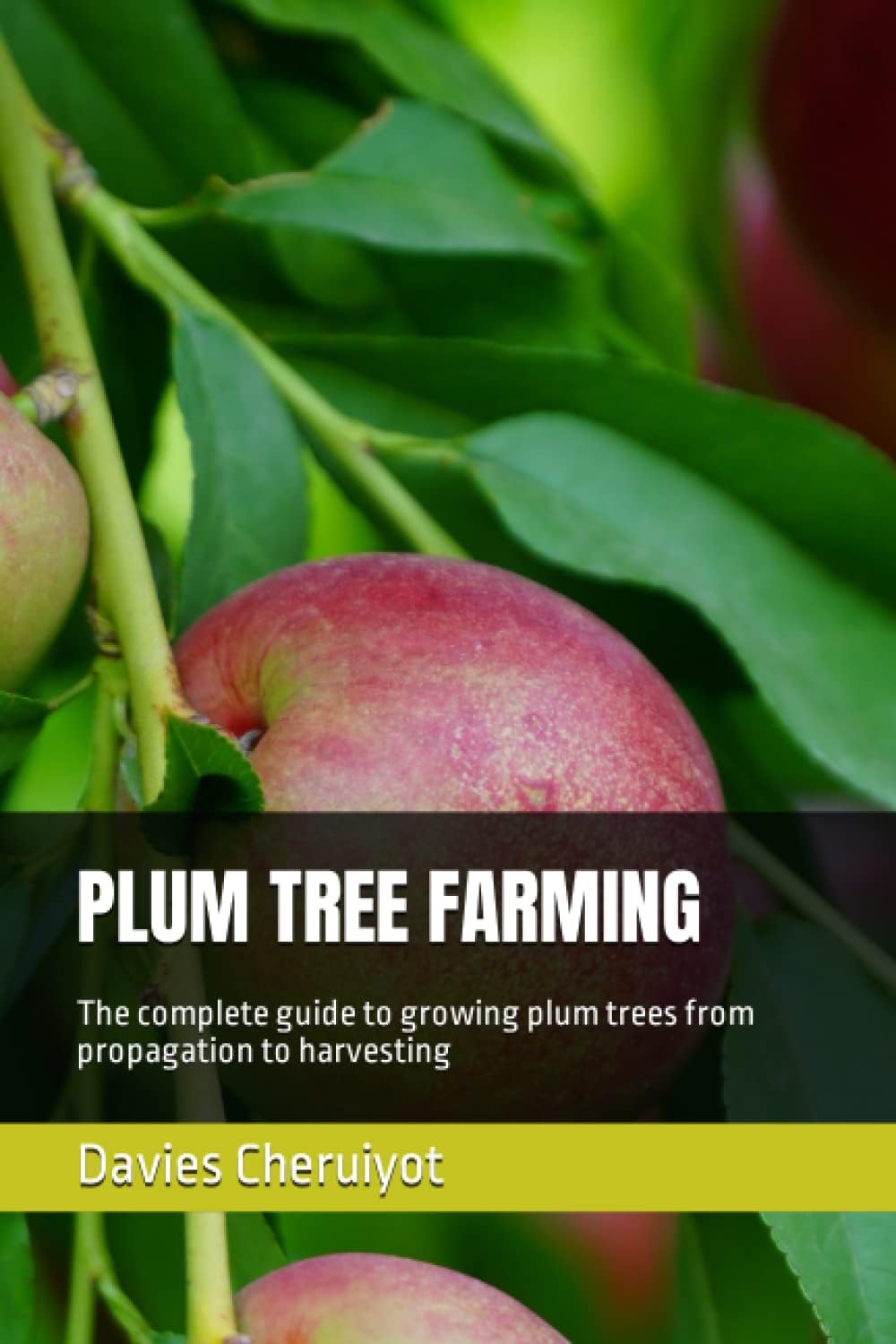 Plum Tree Farming: The complete guide to growing plum trees from propagation to harvesting