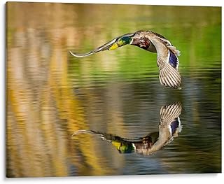 Canvas Lab | Mallard Flight III by Tyler Stockton | 20 x 15 in | Canvas Print Wall Art | Animals, Nature, Nature and animals, Wildlife | Wall Decor for Bedroom, Living Room or Office