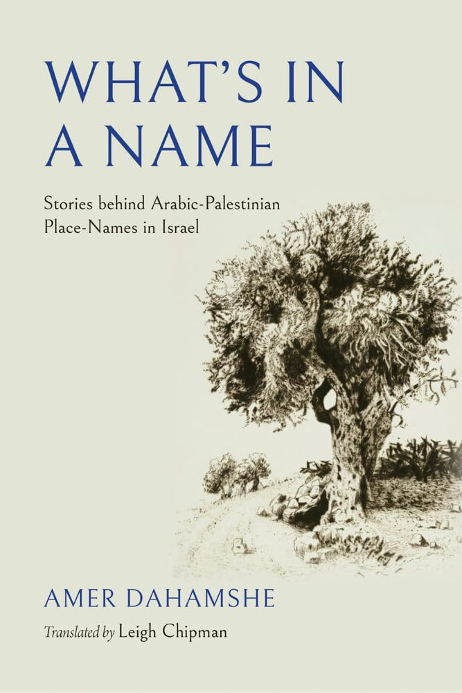 What's in a Name by Amer Dahamshe (Paperback Book)