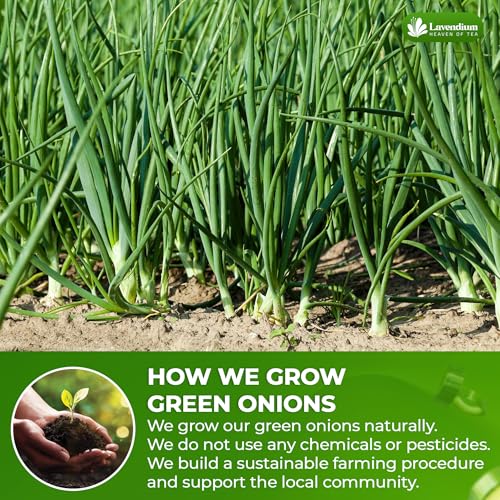 Image of Lavendium, Premium 8 oz Dried Chopped Green Onions, 100% Natural & Pure Scallion Flakes, Non-GMO, No Preservatives, Gluten-Free, Plant-Based & Vegan, Perfect for Cooking, Salads & Garnish