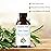 Majestic Pure Essential Oil with Glass Dropper - 100% Pure and Natural - Essential Oils for Diffuser, Aromatherapy, Soap and Candle Making, Tea Tree Essential Oil, Tea Tree Oil, 1 Fl Oz